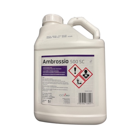 Ambrossio 500 SC 5L